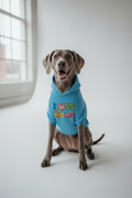 Blue Weimaraner wearing I Love My Moms rainbow dog hoodie