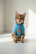 Bengal mix cat wearing I Love My Moms rainbow cat t-shirt